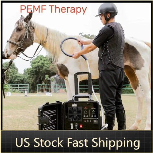 Pmst magnetic loop - pmst, pemf